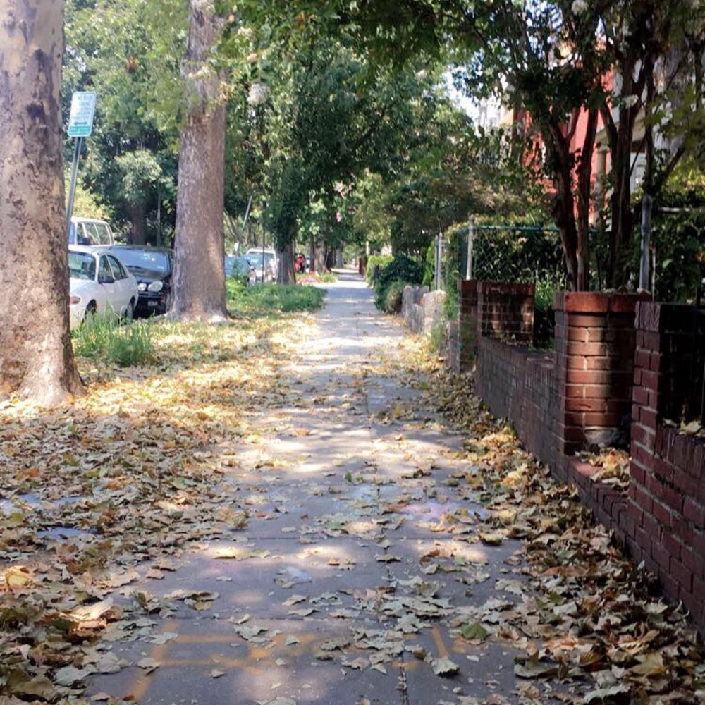 Meet your Posher, Robin